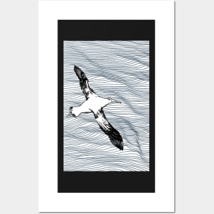 Wandering Albatross Posters and Art